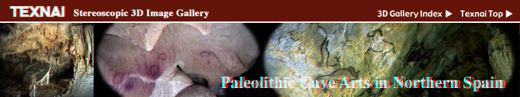Paleolithic Cave Arts in Northern Spain